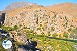 Preveli | South Crete | Greece  Photo 19 - Photo GreeceGuide.co.uk