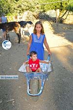 Donkey sanctuary Aghia Marina near Petrokefali | South Crete | Greece  Photo 6 - Photo GreeceGuide.co.uk