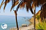 Agios Georgios | South Crete | Greece  Photo 20 - Photo GreeceGuide.co.uk