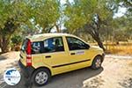 Gele Fiat Panda between the olijfbomen | South Crete | Greece  - Photo GreeceGuide.co.uk