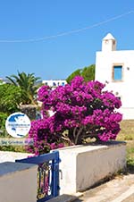 Avlemonas Kythira | Ionian Islands | Greece | Greece  28 - Photo GreeceGuide.co.uk