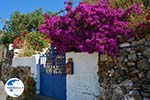 Near the water resources of Karavas | Kythira | Photo 7 - Photo GreeceGuide.co.uk