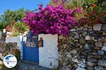 Near the water resources of Karavas | Kythira | Photo 8 - Photo GreeceGuide.co.uk