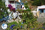 Near the water resources of Karavas | Kythira | Photo 14 - Photo GreeceGuide.co.uk