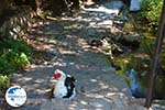 Near the water resources of Karavas | Kythira | Photo 17 - Photo GreeceGuide.co.uk