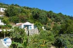 Near the water resources of Karavas | Kythira | Photo 42 - Photo GreeceGuide.co.uk