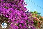 Near the water resources of Karavas | Kythira | Photo 48 - Photo GreeceGuide.co.uk