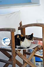 Kapsali Kythira | Ionian Islands | Greece | Greece  Photo 40 - Photo GreeceGuide.co.uk