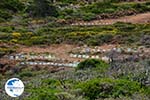 Karvounades Kythira | Ionian Islands | Greece | Greece  Photo 16 - Photo GreeceGuide.co.uk