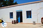 Wijnmakerij near Kalokerines and Karvounades | Kythira Photo 17 - Photo GreeceGuide.co.uk