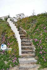 Batsi | Island of Andros | Greece  | Photo 6 - Photo GreeceGuide.co.uk
