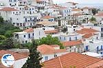 Batsi | Island of Andros | Greece  | Photo 17 - Photo GreeceGuide.co.uk