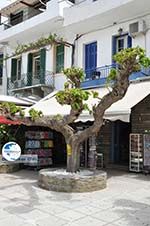 Batsi | Island of Andros | Greece  | Photo 50 - Photo GreeceGuide.co.uk