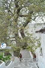 Panachrantou monastery | Island of Andros | Greece  | Photo 9 - Photo GreeceGuide.co.uk