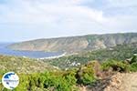 Ormos | Island of Andros | Greece  | Photo 1 - Photo GreeceGuide.co.uk