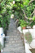 Myrtho apartments on the island of Andros | Greece  Photo 4 - Photo GreeceGuide.co.uk