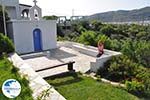 Myrtho apartments on the island of Andros | Greece  Photo 13 - Photo GreeceGuide.co.uk
