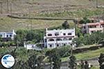 Myrtho apartments on the island of Andros | Greece  Photo 25 - Photo GreeceGuide.co.uk