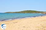 beach Kypri (Golden Beach) near Batsi | Island of Andros | Greece  Photo 001 - Photo GreeceGuide.co.uk