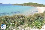 beach Kypri (Golden Beach) near Batsi | Island of Andros | Greece  Photo 004 - Photo GreeceGuide.co.uk