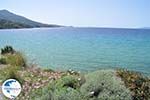 beach Kypri (Golden Beach) near Batsi | Island of Andros | Greece  Photo 007 - Photo GreeceGuide.co.uk