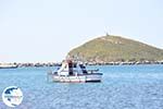 The harbour of Gavrio | Island of Andros | Greece  | Photo 3 - Photo GreeceGuide.co.uk