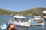 The harbour of Gavrio | Island of Andros | Greece  | Photo 7 - Photo GreeceGuide.co.uk