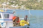 The harbour of Gavrio | Island of Andros | Greece  | Photo 8 - Photo GreeceGuide.co.uk