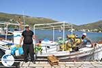 The harbour of Gavrio | Island of Andros | Greece  | Photo 10 - Photo GreeceGuide.co.uk