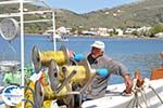 The harbour of Gavrio | Island of Andros | Greece  | Photo 11 - Photo GreeceGuide.co.uk