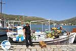 The harbour of Gavrio | Island of Andros | Greece  | Photo 12 - Photo GreeceGuide.co.uk