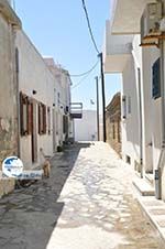 The harbour of Gavrio | Island of Andros | Greece  | Photo 18 - Photo GreeceGuide.co.uk