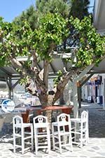 The harbour of Gavrio | Island of Andros | Greece  | Photo 29 - Photo GreeceGuide.co.uk