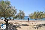 beach Fellos near Gavrio | Island of Andros | Greece  | Photo 1 - Photo GreeceGuide.co.uk