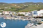 The harbour of Gavrio | Island of Andros | Greece  | Photo 36 - Photo GreeceGuide.co.uk