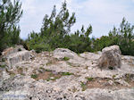 Homerus stone Daskalopetra - Island of Chios - Photo GreeceGuide.co.uk