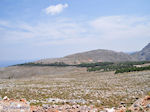 Kale nature with af and toe bossen Photo 2 - Island of Chios - Photo GreeceGuide.co.uk