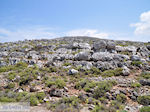 rocks and struiken in Noord Chios - Island of Chios - Photo GreeceGuide.co.uk