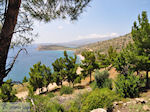 The stille west coast  - Island of Chios - Photo GreeceGuide.co.uk