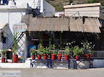 Bloempotten near visrestaurant Emborios - Island of Chios - Photo GreeceGuide.co.uk