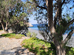 The zwarte pebble beach Emborios - Island of Chios - Photo GreeceGuide.co.uk