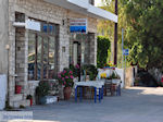 Fish tavernTsampos in Katarraktis - Island of Chios - Photo GreeceGuide.co.uk