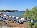 Ligstoelen and parasols Karfas - Island of Chios - Photo GreeceGuide.co.uk
