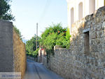 Kambos, hoge muren overal Photo 2 - Island of Chios - Photo GreeceGuide.co.uk