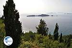 Afionas (Near Cape Arilas) | Corfu | Ionian Islands | Greece  - Photo 12 - Photo GreeceGuide.co.uk