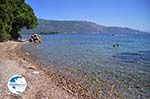 Dasia (Dassia) | Corfu | Ionian Islands | Greece  - Photo 3 - Photo GreeceGuide.co.uk