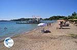 Dasia (Dassia) | Corfu | Ionian Islands | Greece  - Photo 9 - Photo GreeceGuide.co.uk