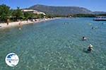 Dasia (Dassia) | Corfu | Ionian Islands | Greece  - Photo 12 - Photo GreeceGuide.co.uk