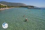 Dasia (Dassia) | Corfu | Ionian Islands | Greece  - Photo 13 - Photo GreeceGuide.co.uk