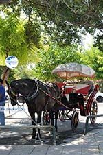 Corfu town | Corfu | Ionian Islands | Greece  - Photo 2 - Photo GreeceGuide.co.uk